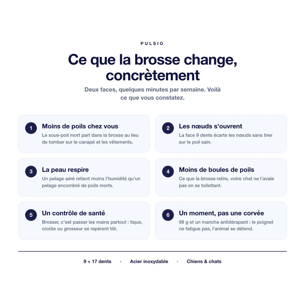 Les 6 bénéfices de la brosse démêlante double face pour chien et chat
