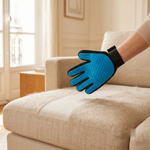 Gant attrape-poils Pulsio retirant les poils d'un canapé en tissu